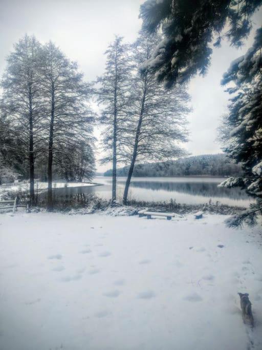 Przystanek Golubie Villa Dış mekan fotoğraf
